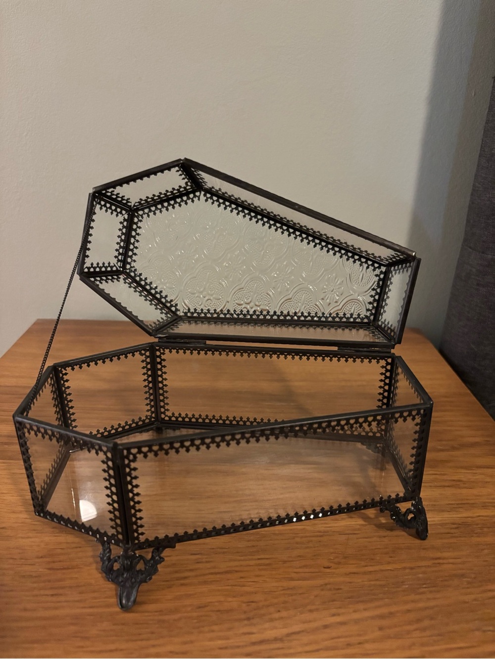 Ashland Glass Coffin Terrarium Display Case Ashland